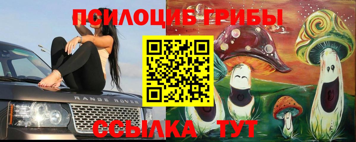 Галлюциногенные грибы прущие грибы Тосно